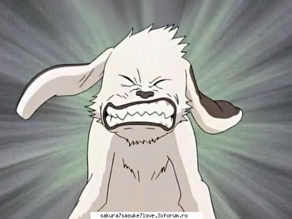 akamaru- este c�inele lui kiba, fiind �n timp partenerul şi prietenul său cel mai bun. �n