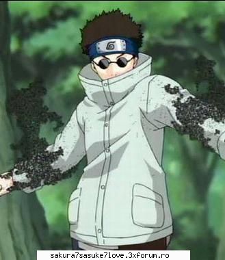 shino