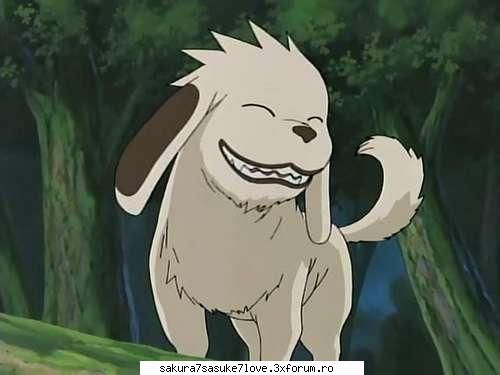 aici vorbim despre akamaru si punem poze cu el akamaru