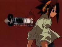 Yoh - Aici punem poze cu Yoh si vorbim despre el - Shaman King